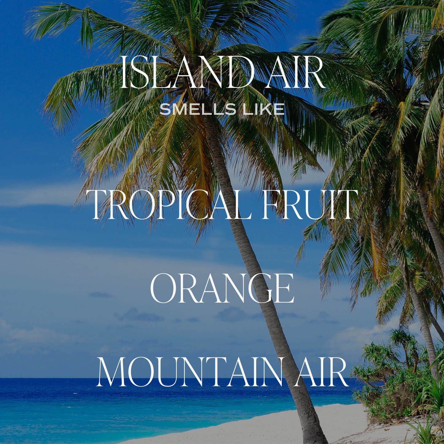 Island Air Reed Diffuser - Gifts & Home Decor