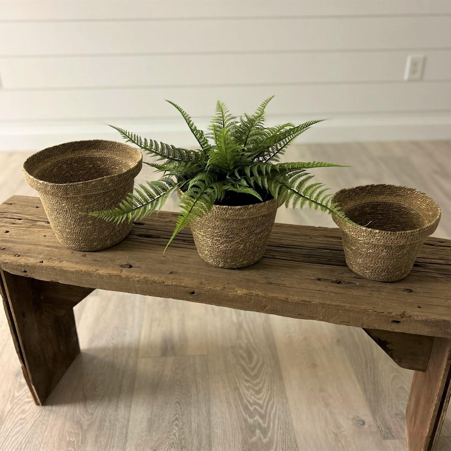 Woven Seagrass Planter Basket Trio